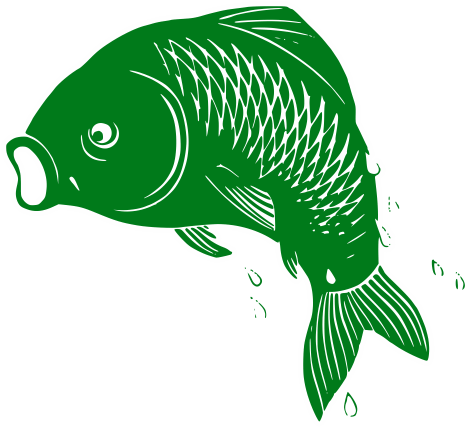 Autokemp Kapřík logo