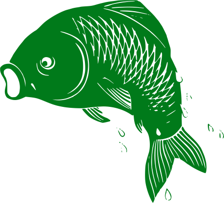Autokemp Kapřík logo